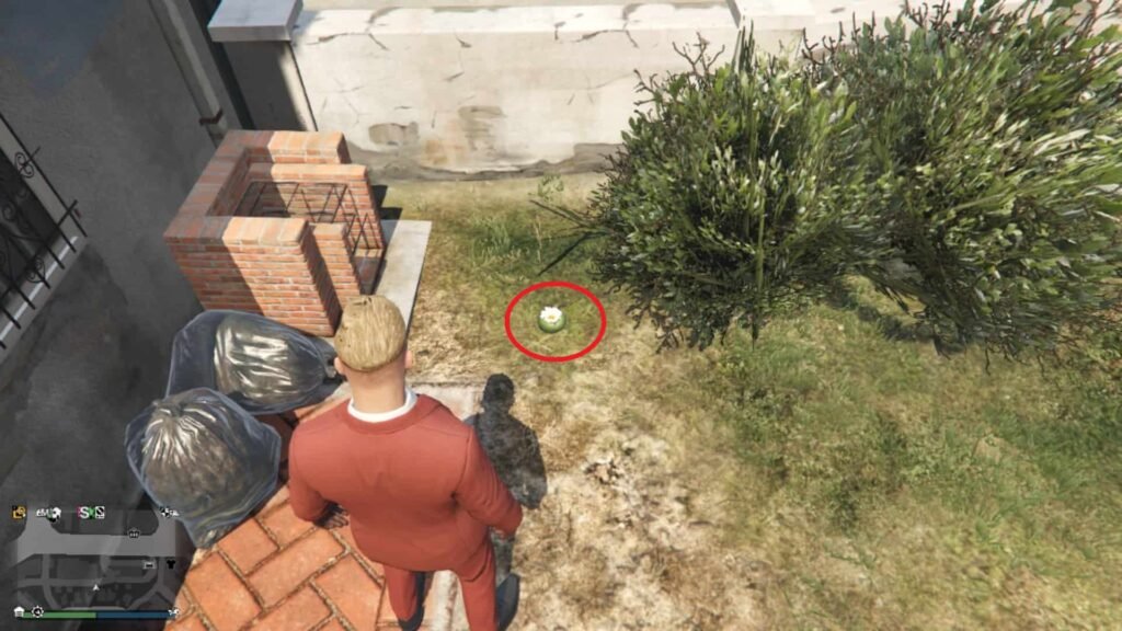 gta online posizioni delle piante di peyote e animali