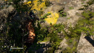 Assassin’s Creed Shadows- Tutte le Posizioni dei Sentieri Nascosti