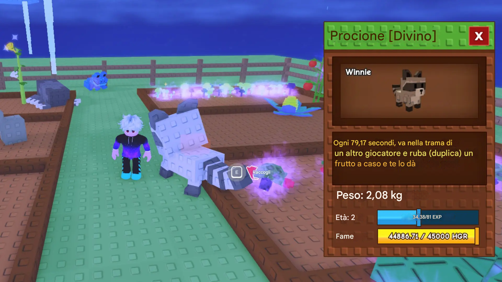 Come Ottenere il Procione in Grow a Garden su Roblox 3 Tutti gli Usi del Procione in Grow a Garden