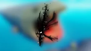 Come Ottenere la Dreambreaker Rod in Fisch